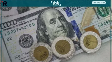 هبوط دولارين أمام الجنيه في بداية تعاملات 14-12-2025